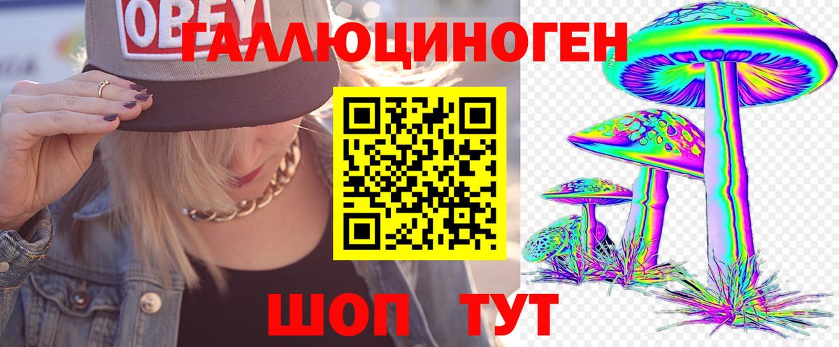 Галлюциногенные грибы Psilocybe Ессентуки