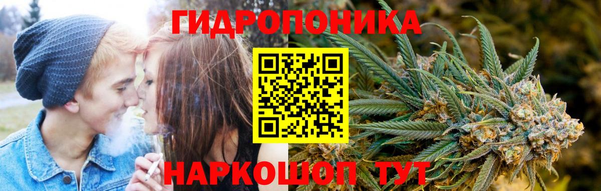 Конопля MAZAR Ессентуки